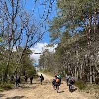 RANDO à Fontainebleau - Mardi 13 juin 2023 de 10h00 à 18h00