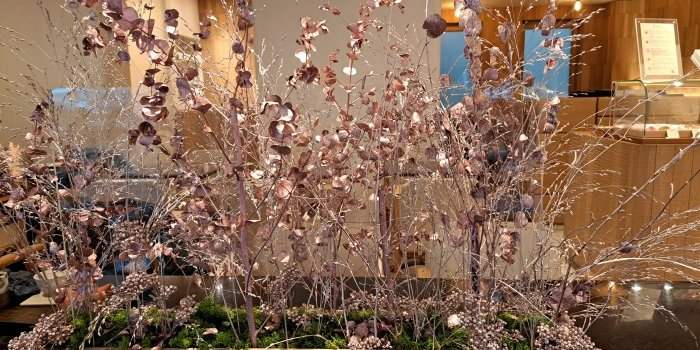 Découverte restos du monde : salon de thé japonais