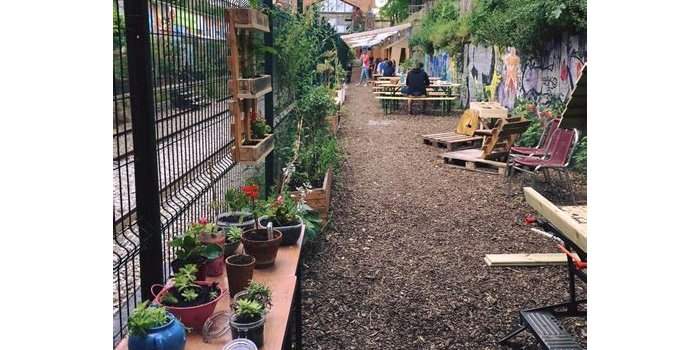 Découverte Nature et Santé dans Paris