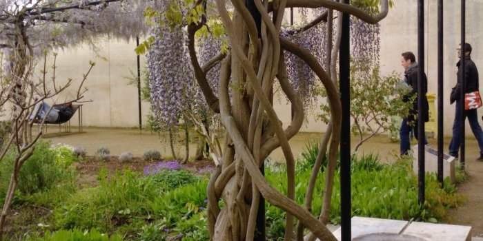 Le jardin savane et les jardins flottants