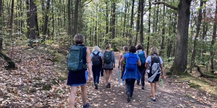 RANDO : Plateau de Saclay au départ de Massy