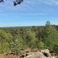 Randonnée Forêt de Rougeau - Mercredi 27 mai de 09h00 à 18h00