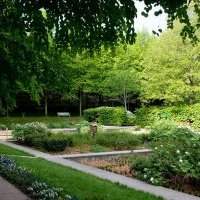 Parc de Bercy - Vendredi 6 février de 15h00 à 17h00