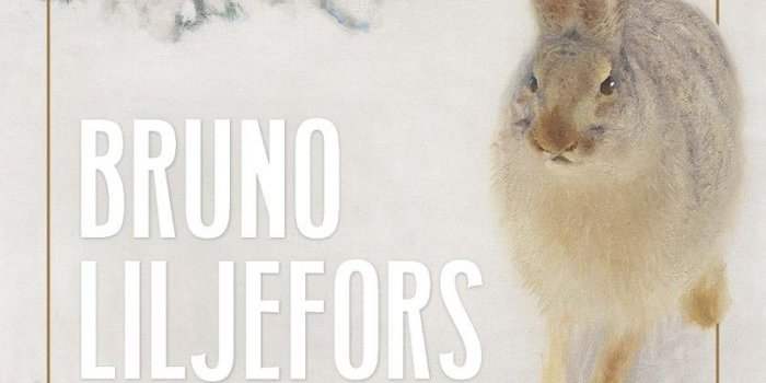 Expo Bruno Liljefors, La Suède sauvage au Petit Palais 2è groupe