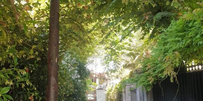 Marche Urbaine