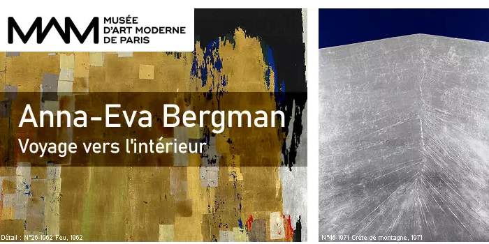 Expo Anna-Eva Bergman au musée d'Art Moderne