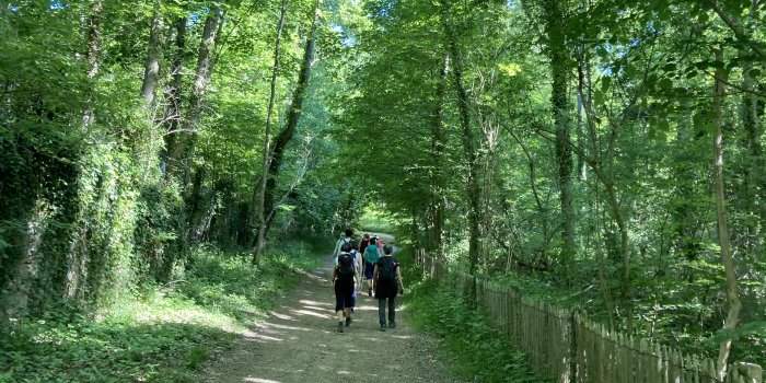 Autour de Giverny : balade et visite 