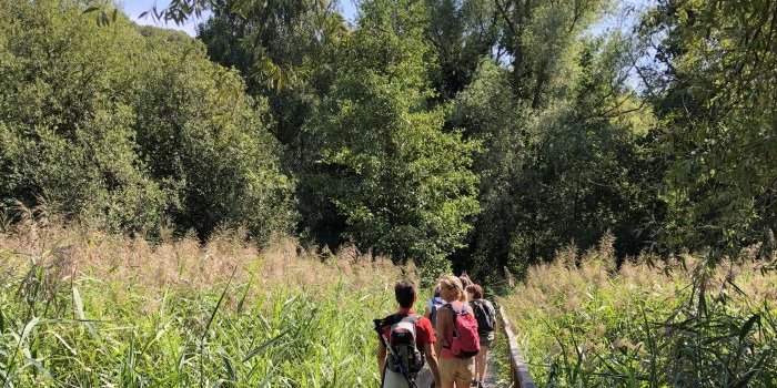RANDO, les coteaux de l'Yvette