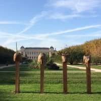 Marche Sportive - Mardi 12 mars 2024 de 10h00 à 11h00