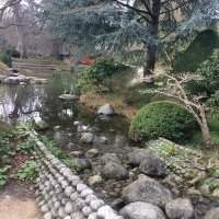 Balade au jardin Albert Kahn - Mardi 19 novembre 2024 de 14h00 à 16h00