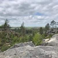 Randonnée en forêt de Fontainebleau - Jeudi 10 juin 2021 de 09h00 à 16h30