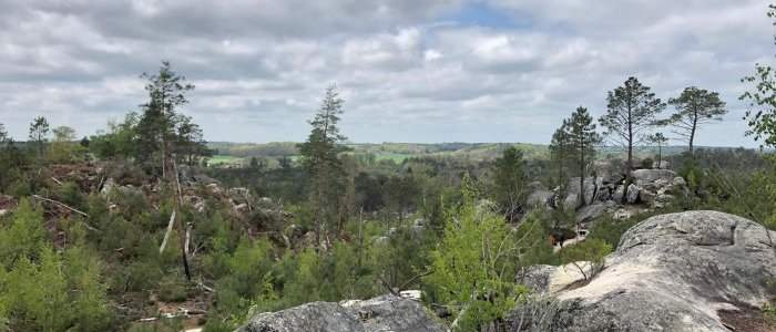 Randonnée en forêt de Fontainebleau