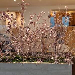 Découverte restos du monde : salon de thé japonais