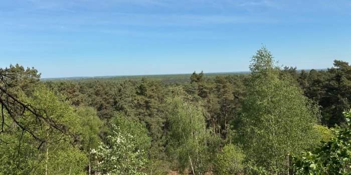 Randonnée Forêt de Rougeau