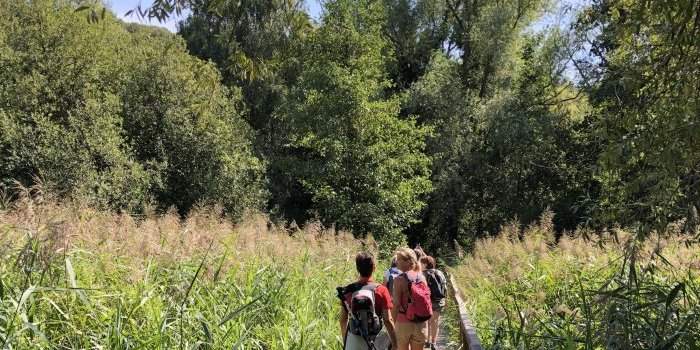 RANDO, les coteaux de l'Yvette
