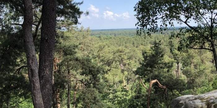 Rando à Fontainebleau