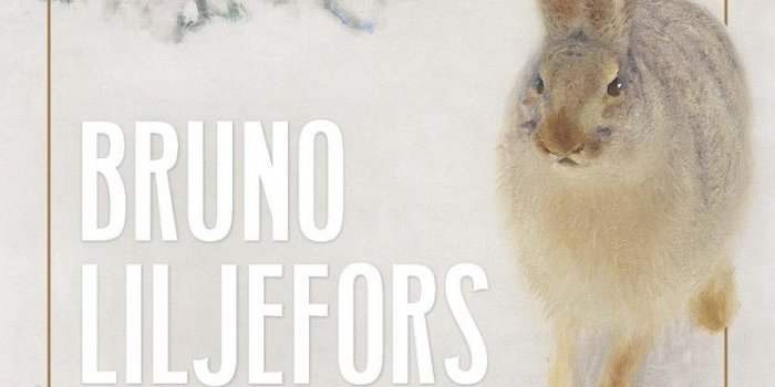 Expo Bruno Liljefors, La Suède sauvage au Petit Palais 2è groupe