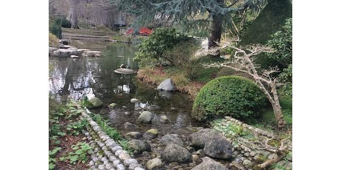 Balade au jardin Albert Kahn