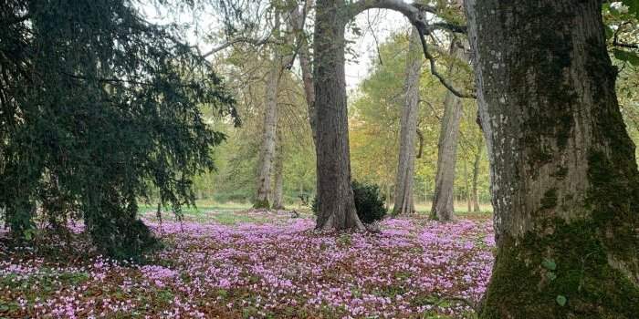 Marche Urbaine