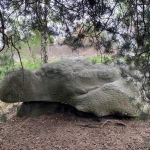 Randonnée en forêt de Fontainebleau 