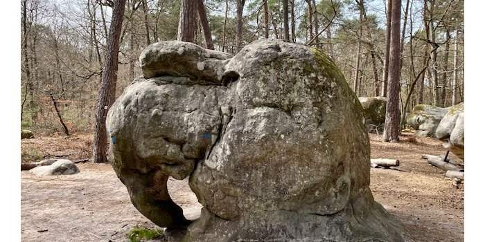 RANDO Fontainebleau