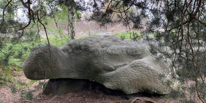 Randonnée en forêt de Fontainebleau 