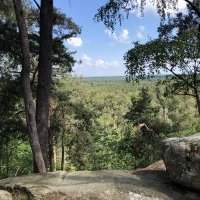 Rando à Fontainebleau - Mercredi 7 juillet 2021 de 09h00 à 18h00