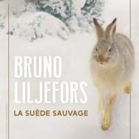 Expo Bruno Liljefors, La Suède sauvage au Petit Palais 1er groupe - Mardi 19 novembre 2024 de 11h00 à 13h00