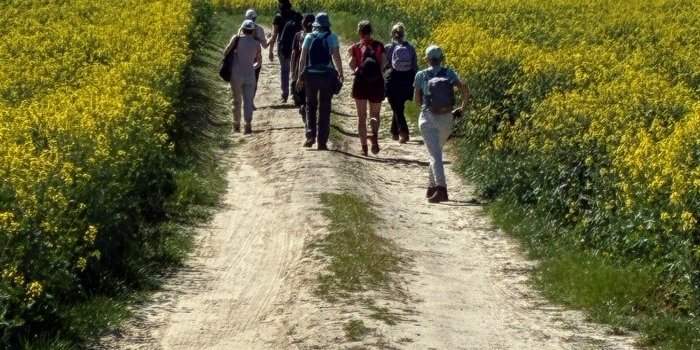Randonnées en Ile-de-France annulée