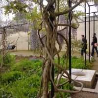 Découverte Jardin médiéval et squares parisiens - Mardi 24 mars de 10h00 à 12h00