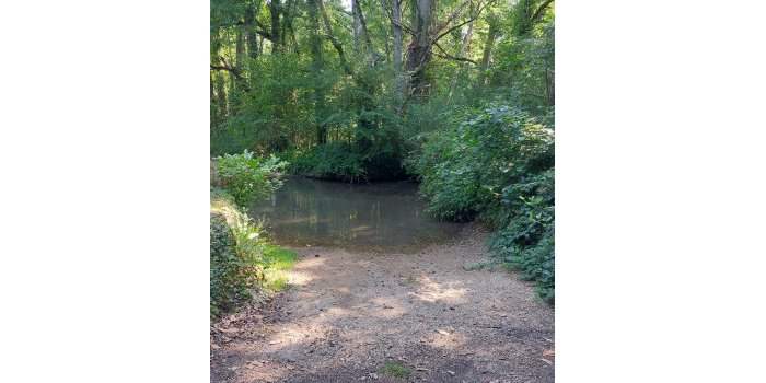 Rando : boucle de 18 km en forêt de Dourdan