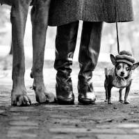 Expo Elliott Erwitt au Musée Maillol - Vendredi 7 avril 2023 de 10h15 à 12h00